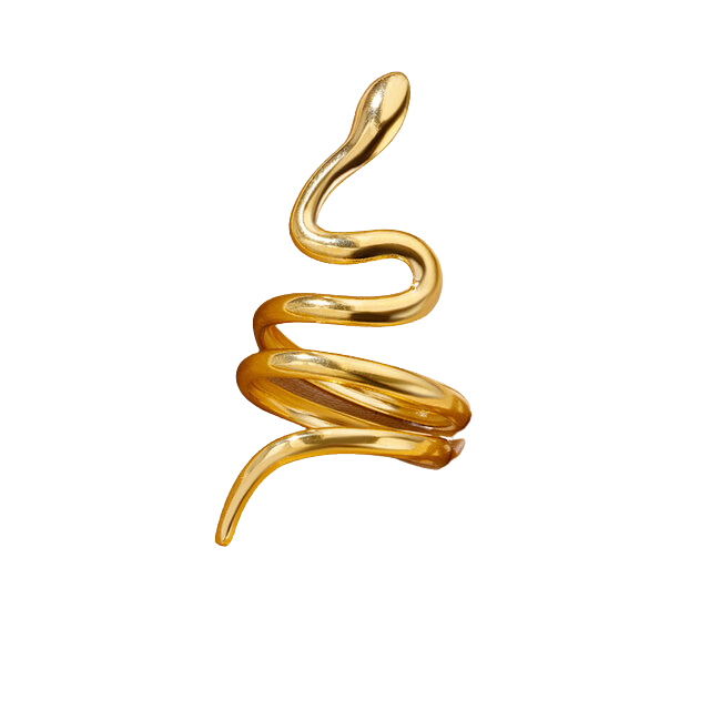 Anello Snake 